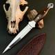 10.6 Stainless Dagger Knife Full Tang Resin Handle Fix Blade Leather Sheath