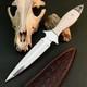 10.6 Stainless Dagger Knife Full Tang Resin Handle Fix Blade Leather Sheath