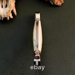 10.6 Stainless Dagger Knife Full Tang Resin Handle Fix Blade Leather Sheath