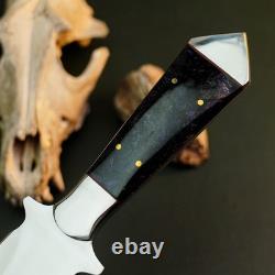 12.9 Stainless Dagger Knife Full Tang Resin Handle Fix Blade Leather Sheath