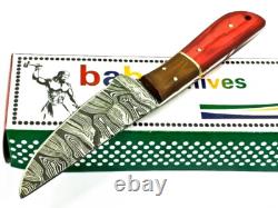 8.4 CUSTOM HANDMADE DAMASCUS Steel Dagger Hunting Knife Skinner with Stain Wood