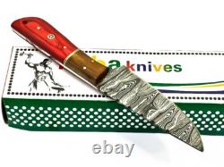 8.4 CUSTOM HANDMADE DAMASCUS Steel Dagger Hunting Knife Skinner with Stain Wood