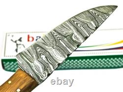 8.4 CUSTOM HANDMADE DAMASCUS Steel Dagger Hunting Knife Skinner with Stain Wood