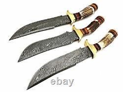 CUSTOM HAND FORGED DAMASCUS SURVIVAL Hunting DAGGER BOWIE KNIFE ANTLER STAG