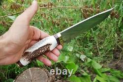 D2 STEEL HUNTING Dagger BOWIE CAMP KNIFE SURVIVOR Stag Handle Leather Sheath
