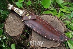 D2 STEEL Rattail HUNTING Dagger KNIFE Brass Guard Stag Handle & Leather Sheath