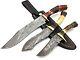 Damascus Camping Handmade Set Of 3 Hunting Dagger Bowie Knife Stag Handle