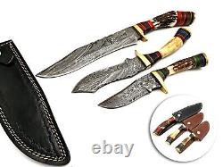 Damascus Steel Handmade Set 3 Hunting Dagger Bowie Knife Stag Handle & Sheath