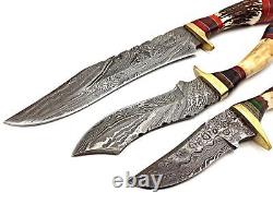 Damascus Steel Handmade Set 3 Hunting Dagger Bowie Knife Stag Handle & Sheath