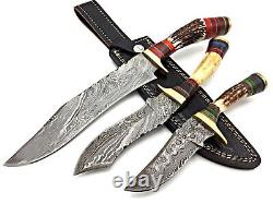 Forged Damascus Camping Handmade Set Of 3 Hunting Dagger Bowie Knife Stag