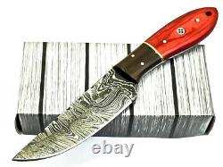 Lot Of 30 Handmade Damascus Blade Hunting Skinner & Daggers Hunting Knife