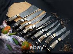 Lot/Set of 9 Pcs. Stag Horn Handle Custom Hand Craft Chef Knife Set