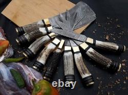 Lot/Set of 9 Pcs. Stag Horn Handle Custom Hand Craft Chef Knife Set