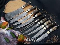 Lot/Set of 9 Pcs. Stag Horn Handle Custom Hand Craft Chef Knife Set