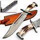 Sc Handmade Damascus Steel Hunting Bowie Knife Stag Handle With Leather Sheath