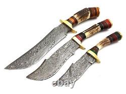 Couteau de chasse à lame de poignard fait main avec manche en bois de cerf à Damas