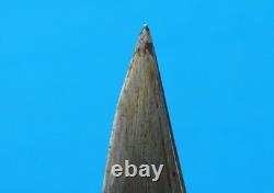 Dague de combat indonésienne antique du 19e siècle avec fourreau