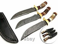 Main Douanière Offert Damascus Survival Chasse Dagger Bowie Knife Antler Stag