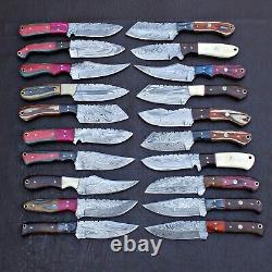 Mélange de 20 couteaux de chasse Skinner en acier de damas faits à la main, personnalisés et étincelants